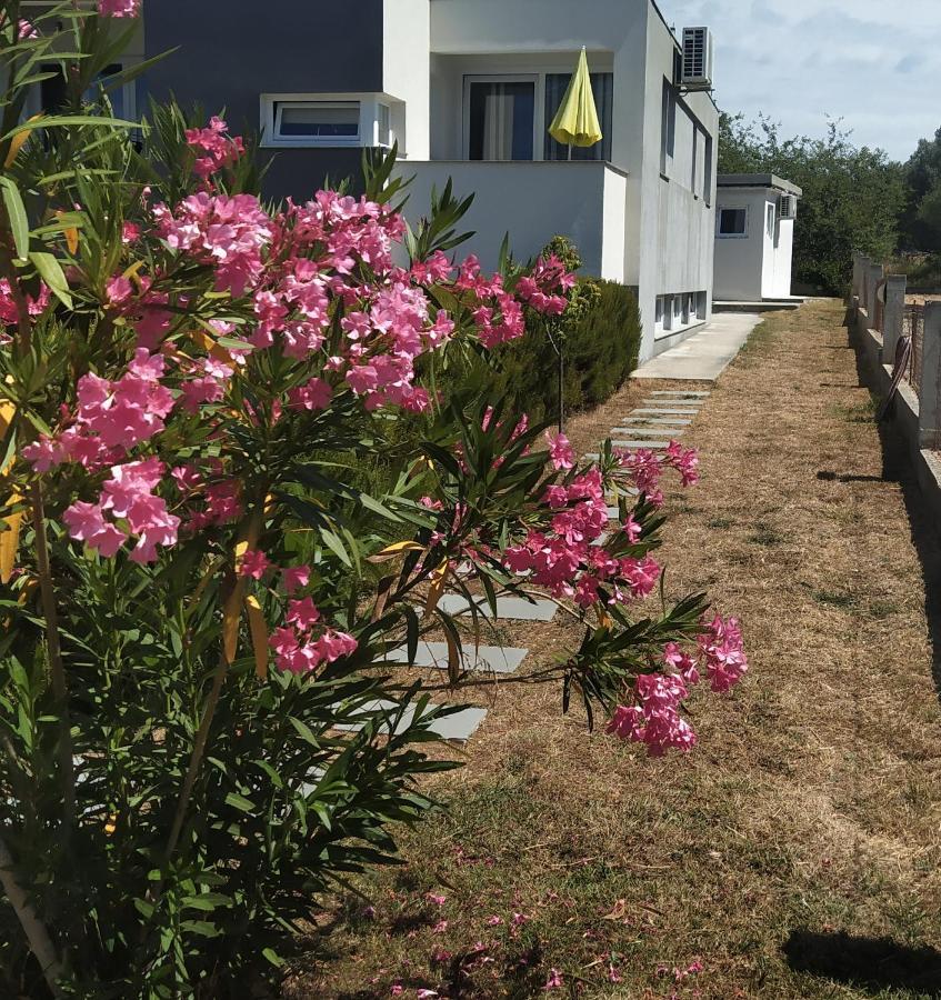 Apartments Dora 2 Bibinje Exterior photo